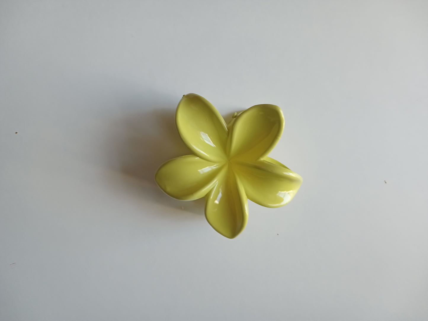 Petite pince à cheveux