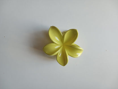 Petite pince à cheveux