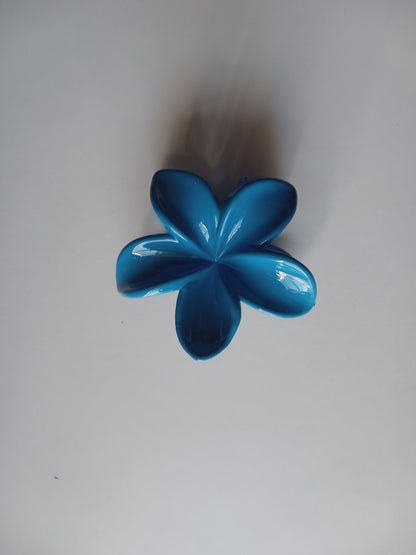 Petite pince à cheveux