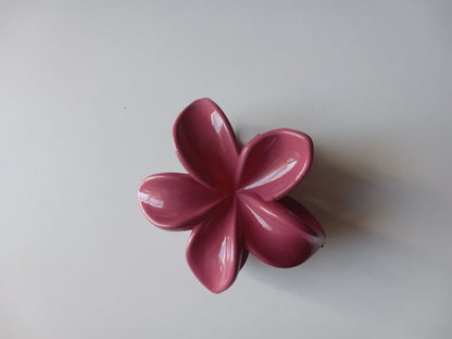 Petite pince à cheveux