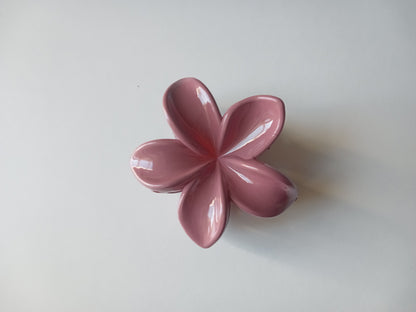 Petite pince à cheveux